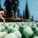 Illustration for article titled The Magic of Skyrim Mods: A Naked Man Swimming in Cabbage